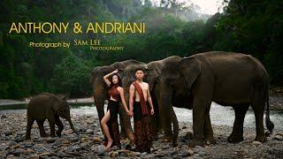 Sam Lee Photography | Cinematic PreWedding of Anthony & Andriani (TANGKAHAN)