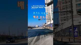 배곧신도시 드라이브 02 경기도 시흥시 배곧동 Beautiful Road Drive