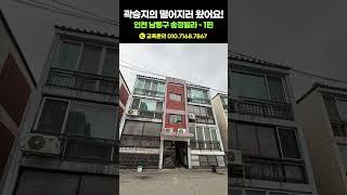 2000만원대! 진짜 소액투자 가능한 인천 빌라, 입찰 도전해 볼까요?