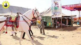 Pushkar Mela Fair 2018 RDGohil videography