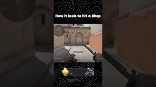 CSGO MEMES?  #csgo  #shorts #counterstrike #cs2