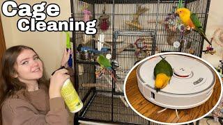 How to Clean Your Bird’s Cage!