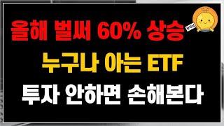올해 벌써 60% 상승했다. 누구나 아는 ETF지만, 누구나 제대로 투자를 못하고 있는, 투자 안하면 손해보는 ETF