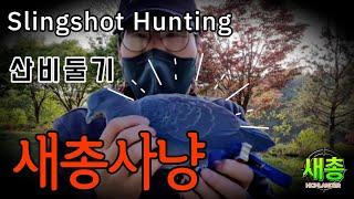 Hunting pigeons with a slingshot