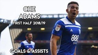 Che Adams - All Goals, Skills & Assists 2018/19 1st Half  | HD