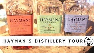 Hayman's Gin Distillery Tour | The Gintern