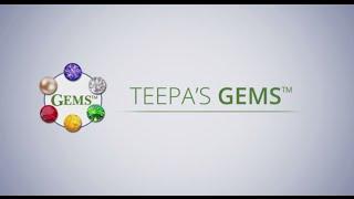 Teepa's GEMS® Brain Change Model