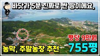 남해 토지 매매 소식. 농막&주말농장 땅. 바닷가 5분 농지. 투자용 추천. 귀농 귀촌 시골땅 촌땅 남해 고성 통영 산청 하동 부동산