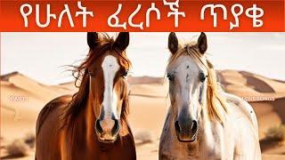 ለጥያቂያችን ምላሽ እንጂ መልስ የማይሰጥበት ....?