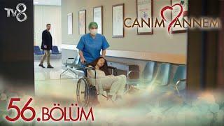 Canım Annem 56. Bölüm  "NAZLI SAYESİNDE..."