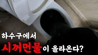 대체 왜 하수구에서 시커먼 물이?! | 하수구 대마왕