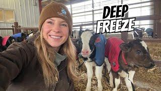 Surviving Wisconsin's First Zero-Degree Day ️ Calf Barn Chores & Snow Plow Prep!