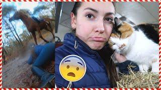 IK VAL SAMEN MET MIJN PONY TIJDENS BUITENRIT... (no joke) | Vlogmas #9