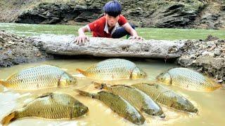 The boy created a fish trap near the stream. Unexpectedly, he caught many big fish.