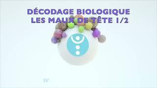 Maux de tête 1/2 vu par le décodage biologique avec Christian Flèche.