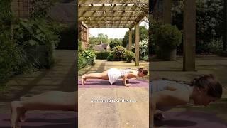 Chaturanga Alignment and Modifications