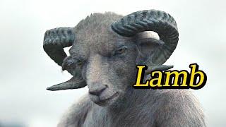 Lamb  ，A female sheep gives birth to a strange creature with a sheep head and a human body