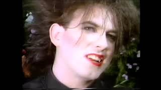 The Cure The Caterpillar on MTV 120 Minutes with Dave Kendall (1992.07.12)