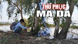 [tập 484] Thu phục ma da kéo người thế mạng - phim ma