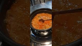 참치김찌와 결안마리