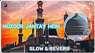 𝗛𝗨𝗭𝗢𝗢𝗥 𝗝𝗔𝗡𝗧𝗔𝗬 𝗛𝗘𝗜𝗡|| Mind Relaxing|| ( Slow + Reverb Naat )| Hasib Aesthetic | 2023