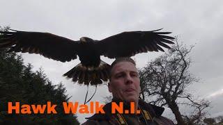 My day trip to Hawk Walk N.I.