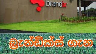 බ්‍රැන්ඩික්ස් ගැන|About Brandix