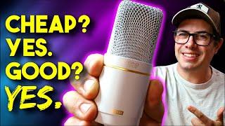 Is This THE BEST Budget Mic of 2025? Topping CL101