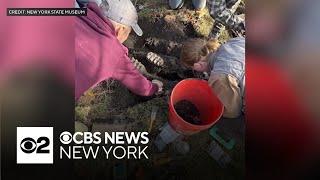 Complete jaw of mastodon found in backyard of Orange County home