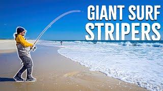 GIANT STRIPED BASS DEVOURING SAND EELS IN CLOSE! - Long Island Surf Fishing - Fall Run