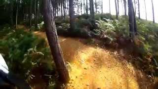 Swinley Forest full trail