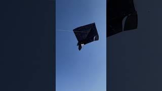12f.t kite flying gone wrong 🪁 || biggest kite flying #lohri2023 #kitevlog