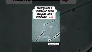 Observe a formação de uma nova sinapse entre dois neurônios. #neurociência #anatomia #neurônios