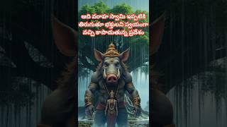 Lord Varaha appears to devotees in the form of Varaha