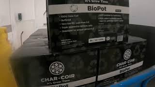 How to Use Char Coir Bio pot