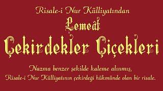 Risale-i Nur Külliyatı/Sözler - Lemeât - Çekirdekler Çiçekleri (Tek Parça)