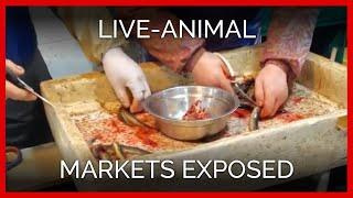 PETA Asia Live-Animal Markets Media Edit