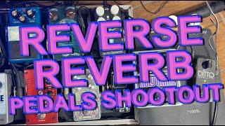 Reverse Reverb Pedals Shootout: Holy Grail Max, Polara & Oceans 11 + Bonuses