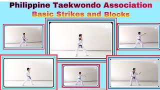 Basic Strikes and Blocks | for White Belts | Beginners | Philippines Taekwondo Association