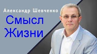 Смысл Жизни  Александр Шевченко