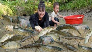 Full video 1 year with my adopted son: catching fish and building a farm | Em Tên Toan