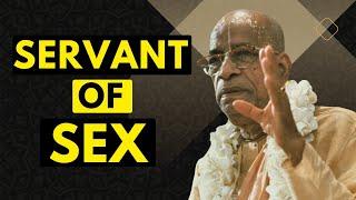 Servant of Sex | Prabhupada Shorts Lectures Bhagavatam Gita #prabhupadavani