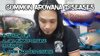 Common Arowana Diseases