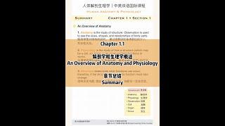【考点&重点词汇总结|中英双语国际课程】人体解剖生理学 1.1 概述 | Human Anatomy & Physiology 1.1 Overview