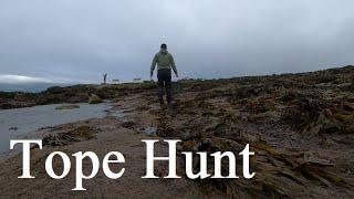 Hunting Tope Off The Anglesey Rocks