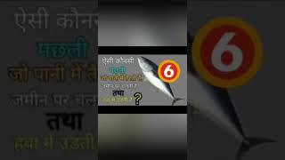 जमीन पर चलने वाली मछली कौनसी है||futuretakgk,gk questions and answers