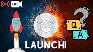 WISE TOKEN LAUNCH STREAM Q&A!