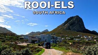 DRIVING around ROOI-ELS in SOUTH AFRICA * 4K (60fps)