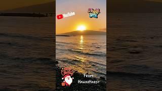 MERRY CHRISTMAS FROM HAWAII HARDY  #youtubeshorts