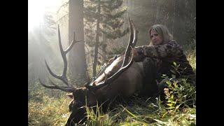 Public Land Elk Hunting Episode 1